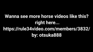 Horse video 45