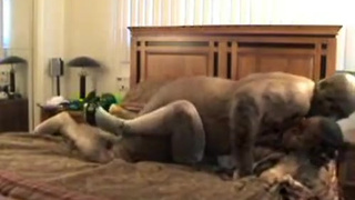 Похотливый самец отодрал свою толстую подругу на большой кровати