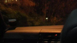 Секси блондинка сосет мужской фаллос через окно машины