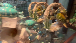 Aquarium Trip with Aliya Brynn Turns Into Aggreive Ass Eating and Milking