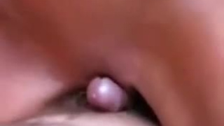 Девушка делает массаж члена половыми губами